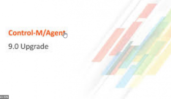 control-m-agent